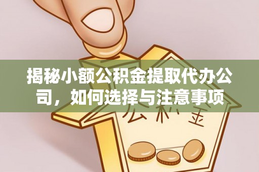洋山揭秘小额公积金提取代办公司，如何选择与注意事项