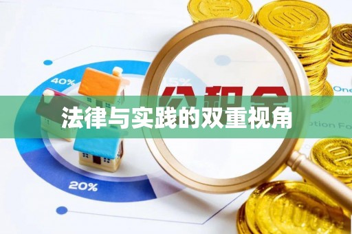 洋山法律与实践的双重视角