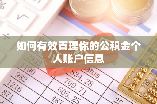 洋山如何有效管理你的公积金个人账户信息