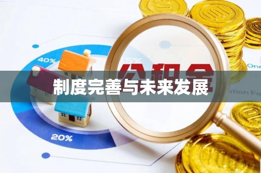 洋山制度完善与未来发展