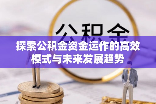 洋山探索公积金资金运作的高效模式与未来发展趋势