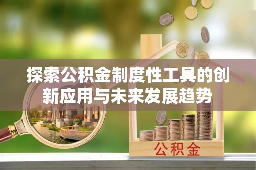 洋山探索公积金制度性工具的创新应用与未来发展趋势
