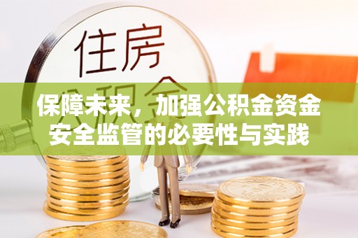 洋山保障未来，加强公积金资金安全监管的必要性与实践