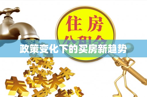 洋山政策变化下的买房新趋势