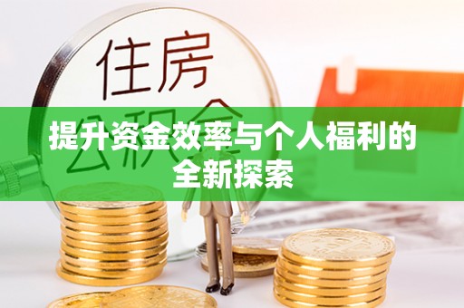 洋山提升资金效率与个人福利的全新探索