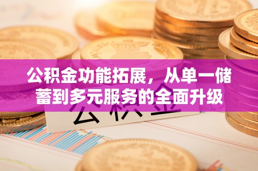 洋山公积金功能拓展，从单一储蓄到多元服务的全面升级