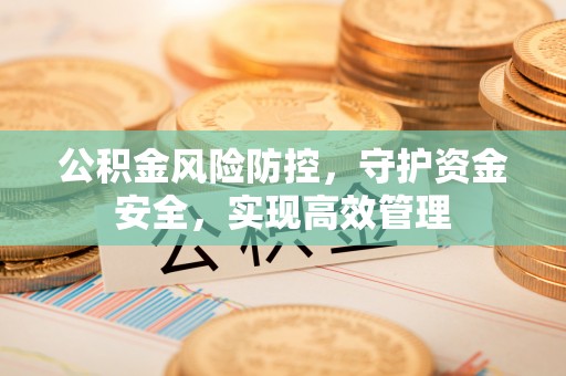 洋山公积金风险防控，守护资金安全，实现高效管理