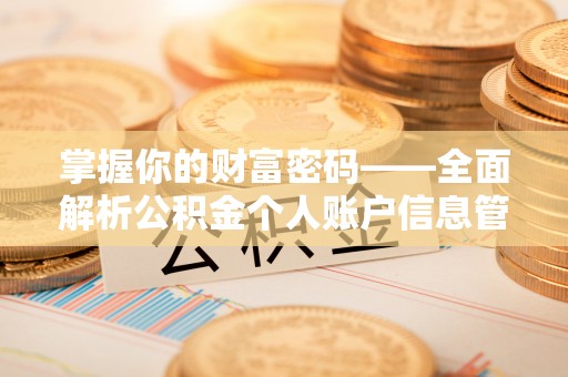 洋山掌握你的财富密码——全面解析公积金个人账户信息管理与优化