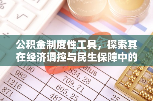 洋山公积金制度性工具，探索其在经济调控与民生保障中的重要作用