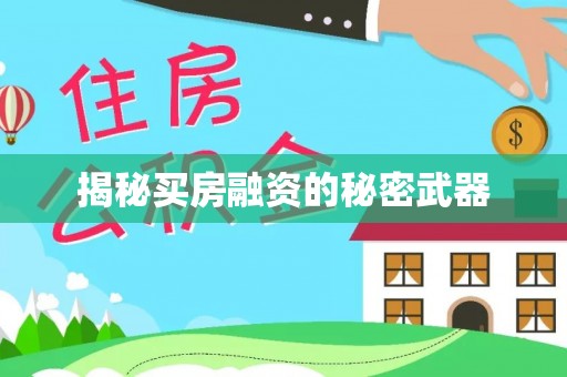 洋山揭秘买房融资的秘密武器