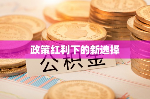洋山政策红利下的新选择