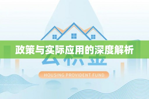 洋山政策与实际应用的深度解析