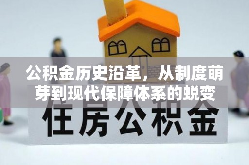 洋山公积金历史沿革，从制度萌芽到现代保障体系的蜕变