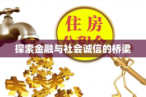 洋山探索金融与社会诚信的桥梁