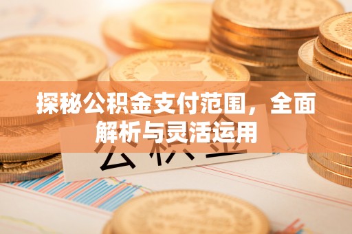 洋山探秘公积金支付范围，全面解析与灵活运用