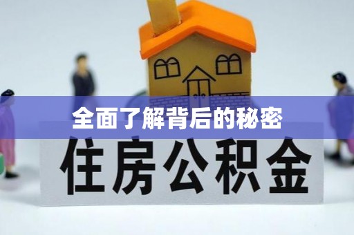 洋山全面了解背后的秘密