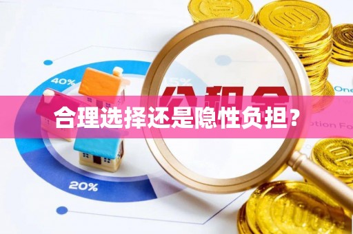 洋山合理选择还是隐性负担？