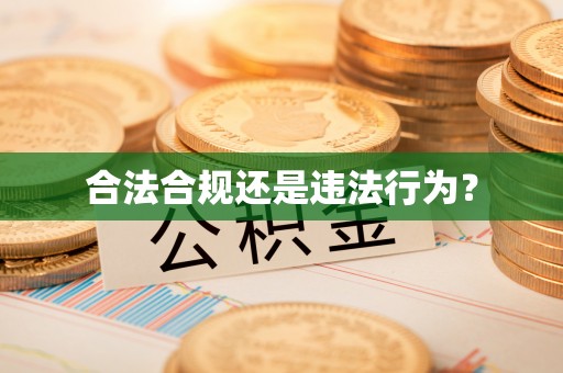 洋山合法合规还是违法行为？