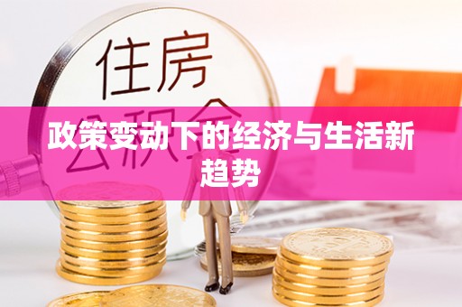 洋山政策变动下的经济与生活新趋势