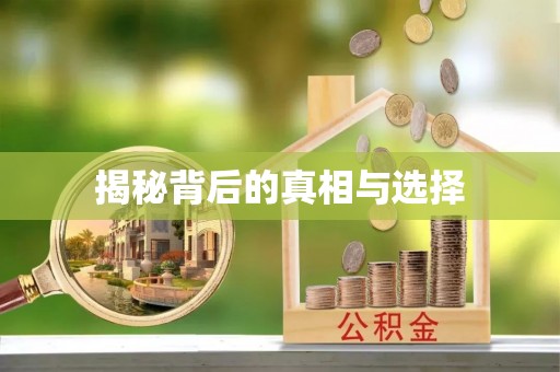 洋山揭秘背后的真相与选择