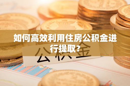 洋山如何高效利用住房公积金进行提取？