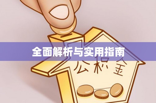 洋山全面解析与实用指南
