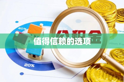 洋山值得信赖的选项