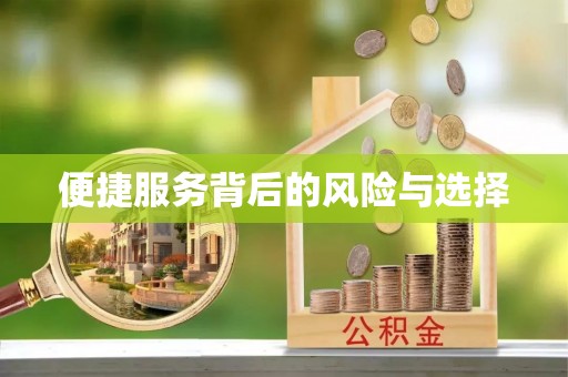 洋山便捷服务背后的风险与选择