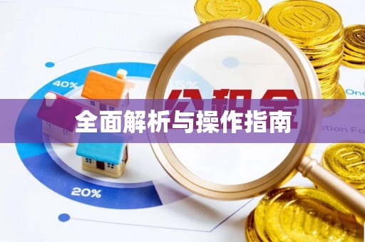 洋山全面解析与操作指南