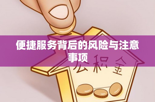 洋山便捷服务背后的风险与注意事项