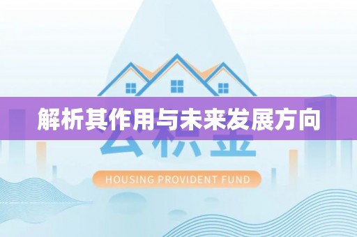 洋山解析其作用与未来发展方向
