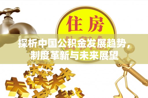 洋山探析中国公积金发展趋势，制度革新与未来展望