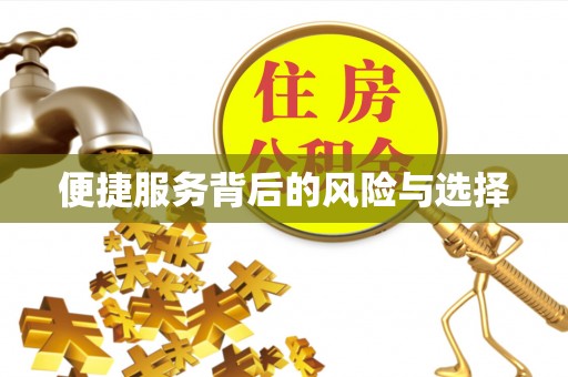 洋山便捷服务背后的风险与选择