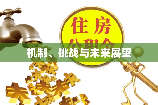 洋山机制、挑战与未来展望