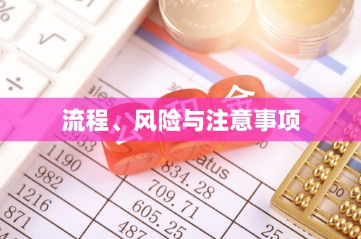 洋山流程、风险与注意事项