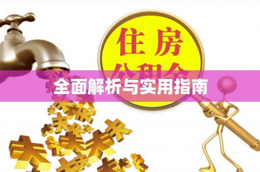洋山全面解析与实用指南