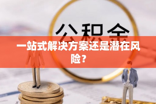 洋山一站式解决方案还是潜在风险？