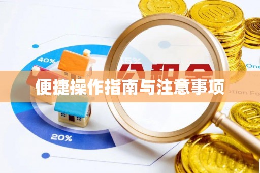 洋山便捷操作指南与注意事项