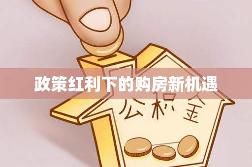 洋山政策红利下的购房新机遇